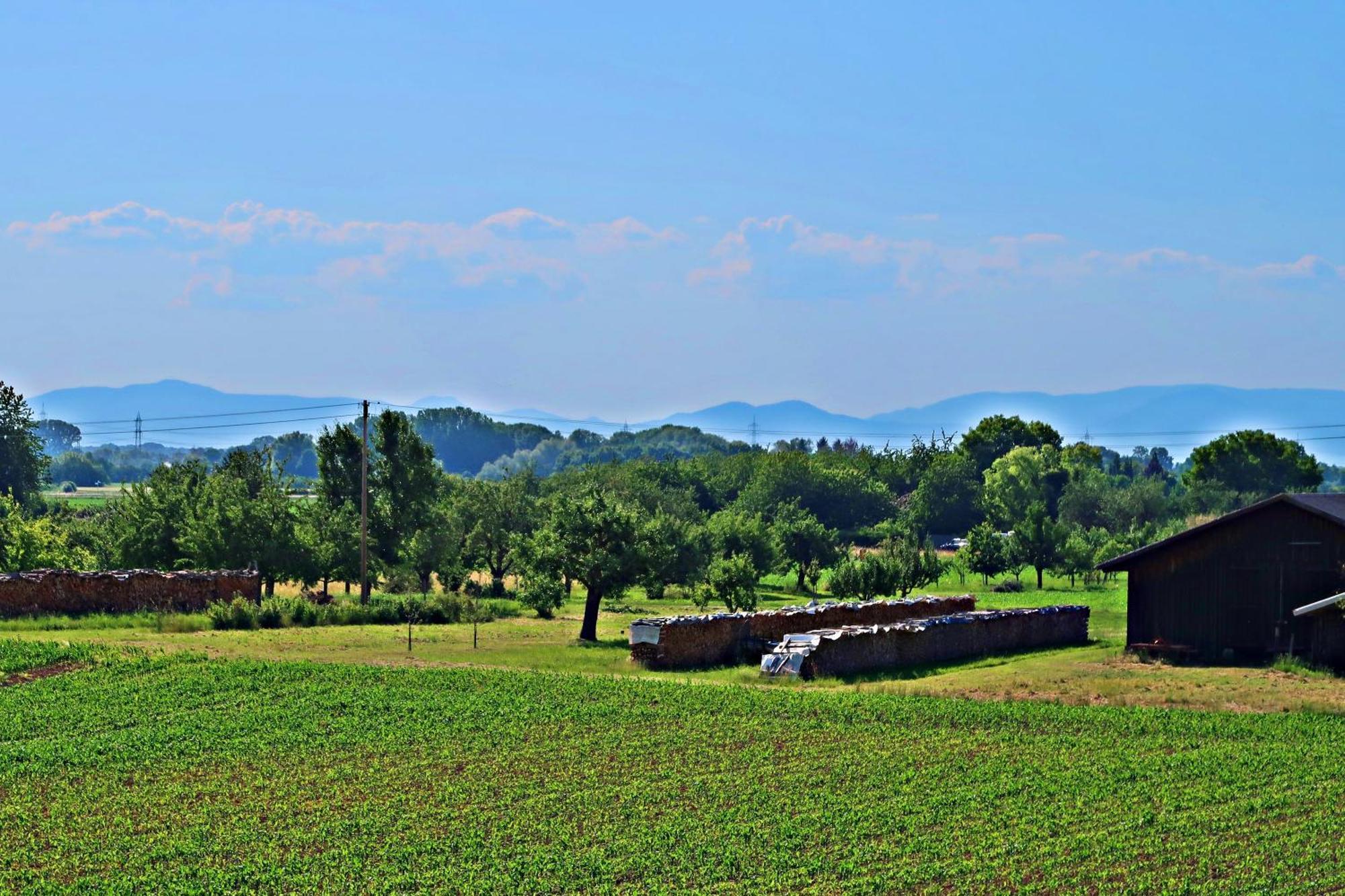 Gaestehaus Heimelig Herbolzheim Buitenkant foto